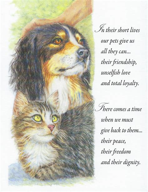 Veterinary Sympathy Cards for the Loss of a Pet